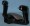 PCW-601-103-PTT.jpg